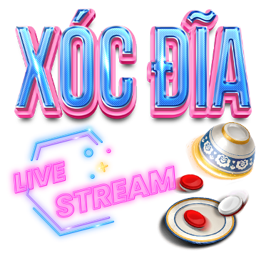 X&oacute;c đĩa ae888